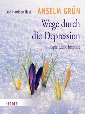 cover image of Wege durch die Depression